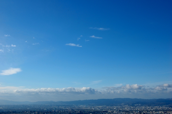 交野山