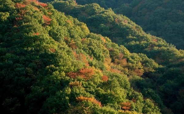 交野山