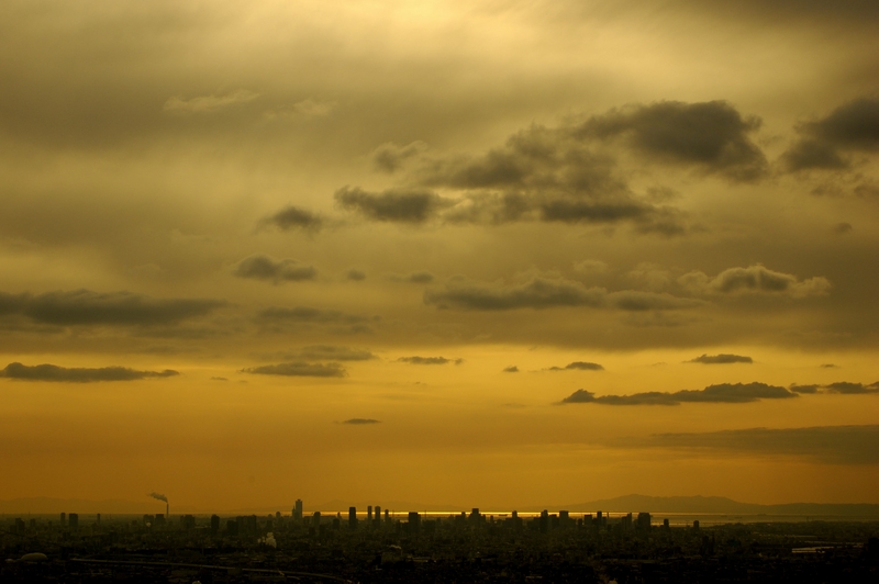 交野山 夕景