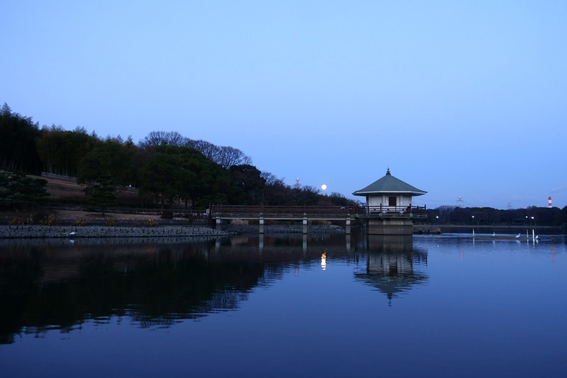 山田池公園 浮御堂