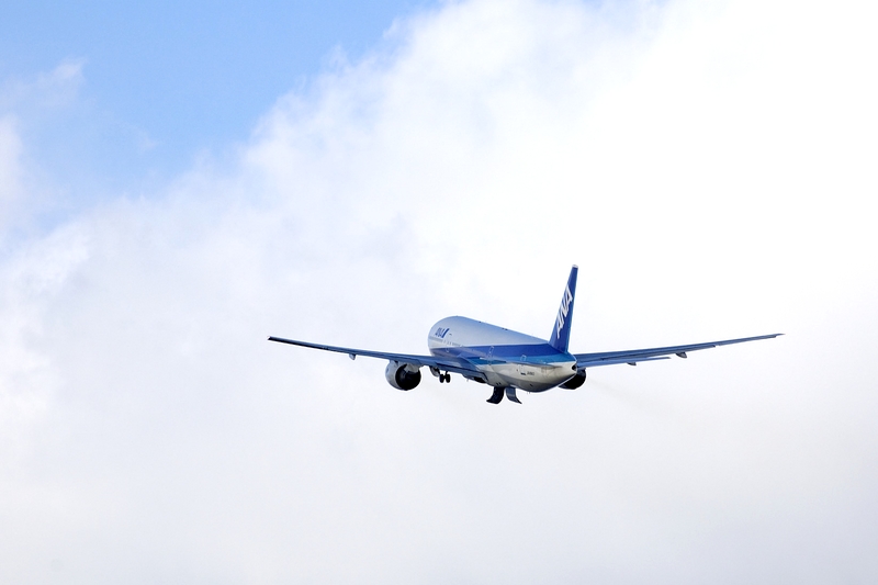 伊丹空港 飛行機