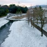 山田池公園 雪