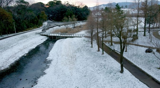 山田池公園 雪