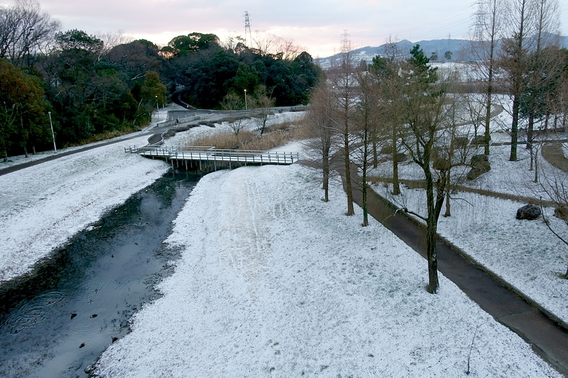 山田池公園 雪