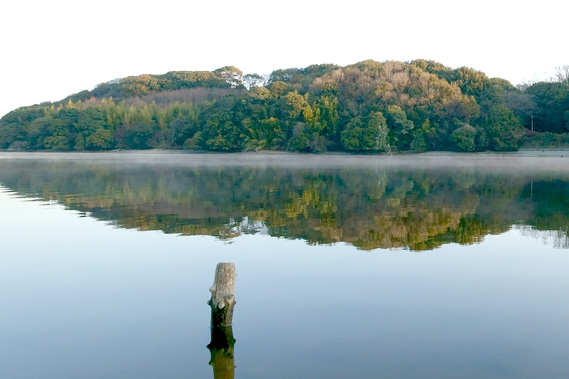 山田池公園