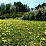 大阪市立大学植物園 私市植物園