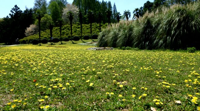 大阪市立大学植物園 私市植物園