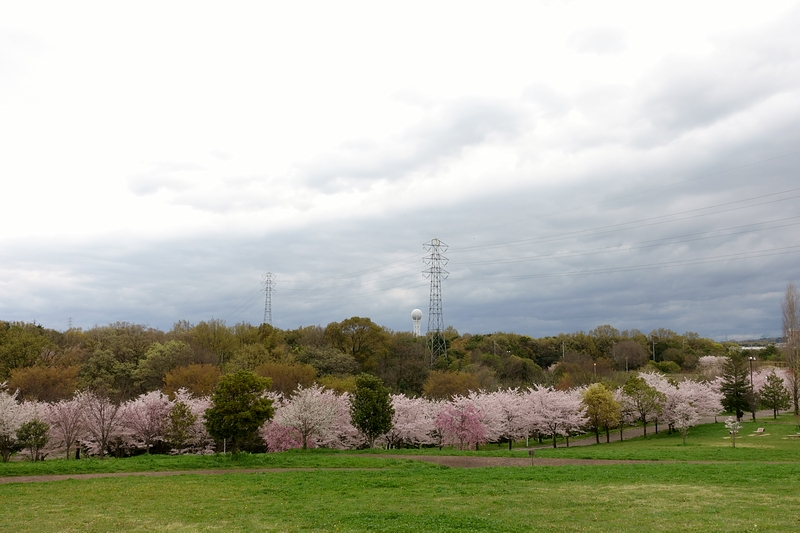 山田池公園