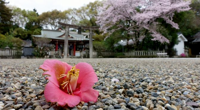 椿　機物神社