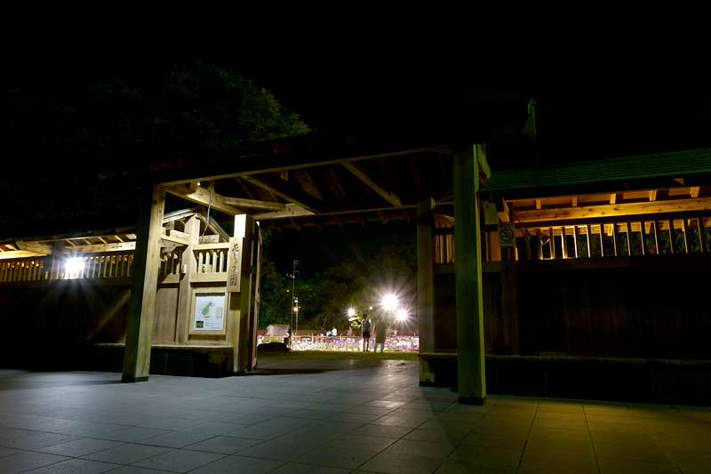 山田池公園 花しょうぶ園