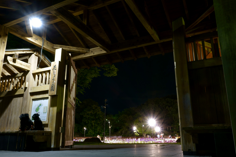 山田池公園 花しょうぶ園