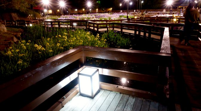 山田池公園 花しょうぶ園