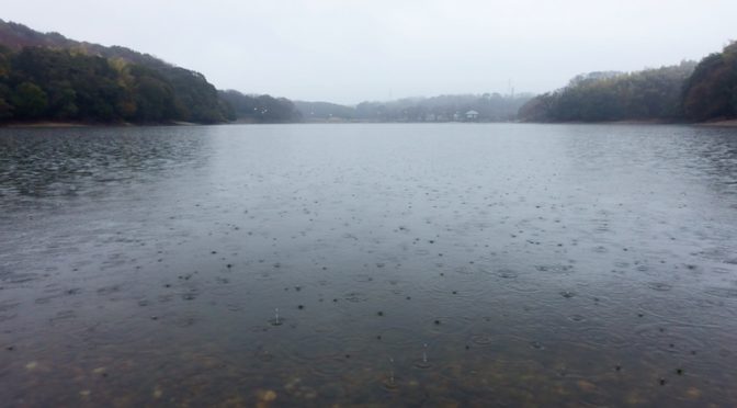 山田池　雨