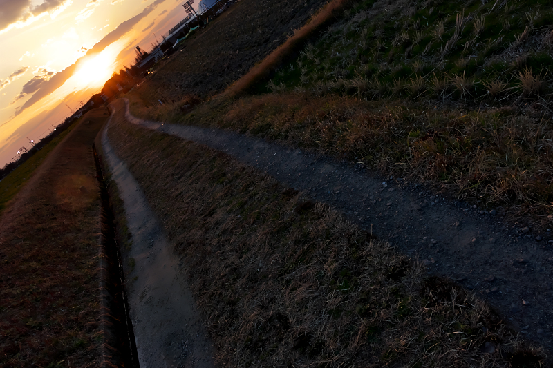 夕景 交野市 向井田